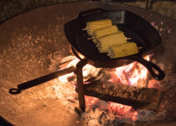 Brazier Tripod Cooking Stand low